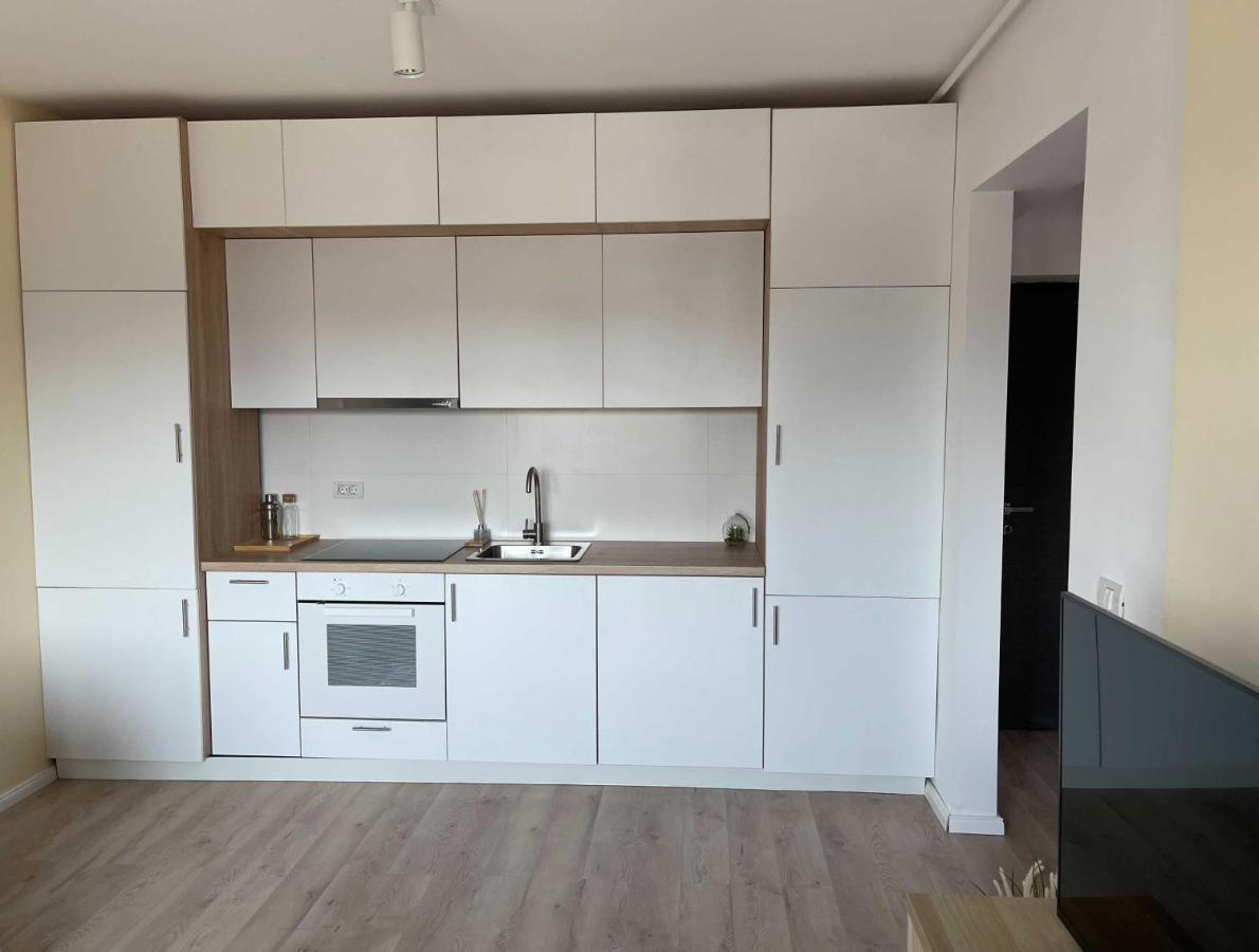 Oasis Luxury Apartment Near Presidential Palace บูคาเรสต์ ภายนอก รูปภาพ